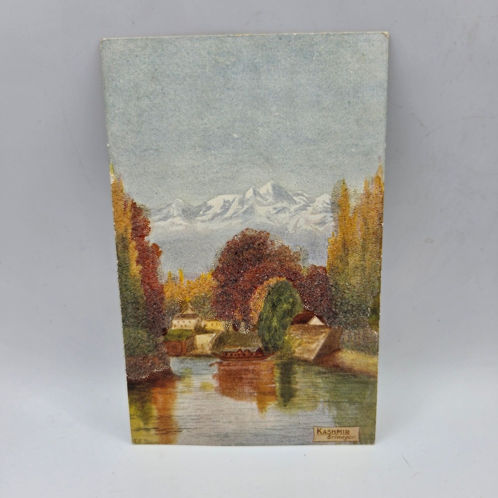 Vintage Tuck Oilette Postcard Kashmir Srinagar India Wide-Wide World 7089